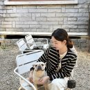 ☕️ 대구 카페 후기 [어노잉]
