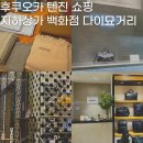 후쿠오카 텐진 지하상가 쇼핑 백화점 바오바오백 포터