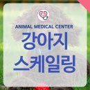 장현 동물병원 이미지