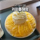 해랑 | [대전 유성/카페] 라도무스 웨딩홀 근처 카페 커피를해랑 망고빙수 내돈내산 후기