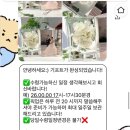 사람이 꽃보다 아름 | 수원 아름오브제 부케 말리기, 부케 액자 제작 후기