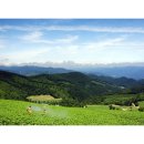 바람에 언덕 이미지