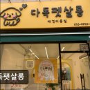 다독펫살롱 네이버블로그