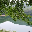 충화지기 Daum카페
