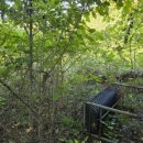 성읍리-4 이미지