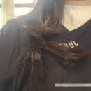 배가헤어 | 노원 레이어드컷 미용실 추천 | 준오헤어 노원사거리점 배이지 디자이너 여자 레이어드컷 후기
