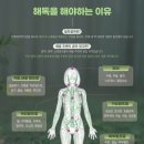 리본 에스테틱(Re:born)
