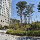 좋은터좋은집공인중개사사무소 이미지