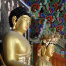 영천 죽림사 철조여래좌상 이미지