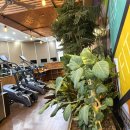 한성스포츠센터 이미지