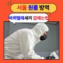 수유동고시텔 | 서울 원룸 방역업체 바퀴벌레 새끼까지 없애는 법