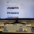 피슐랭PC 이미지