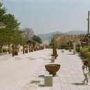 다산나정 이미지