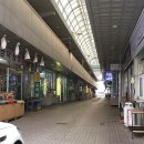 제천약초시장 이미지