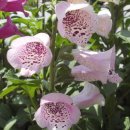 영서로5 이미지