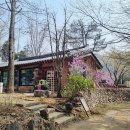 비목마을궁노루다정 이미지