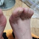 닥터페디&네일잇