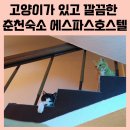 에스파스 호스텔 이미지