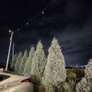 블루아이스식당 이미지