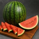 서우농장 | 임신 11주차 입덧, 한겨울에 수박 시켜먹은 썰 🍉 (feat. 네이버쇼핑)