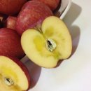 월곡농장 이미지