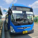 세화고등학교 이미지