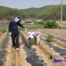 성자골2 이미지