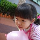 성일어린이공원 이미지