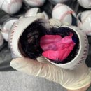 야구공에 넣어 밀반입한 '미친약' 41억원어치…태국인 47명 검거 이미지