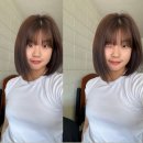 [교환학생 일기🇺🇸] - 1 week
