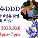 수DDD 낮 밀롱가 이미지
