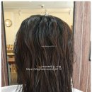 피데스헤어