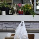 목천 | [천안맛집]현지인이 추천하는 맛집, 아이들과 가기 좋은 톰아저씨 돈까스 목천점 방문 후기