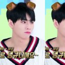 아미고