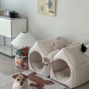 제이디(JD)치과기공소 | 일상8