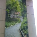 알파 사우나 이미지