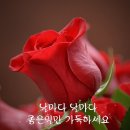 4월17일 뉴스브리핑 이미지