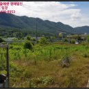 개태사주유소 - 12174 | 개태사주유소