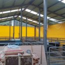 솔미축사 이미지