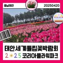 농업회사법인 꽃과사람주식회사 | 코리아플라워파크/주식회사아다람농업회사법인/태안튤립/태안꽃박람회/태안튤립꽃축제/태안벚꽃길...