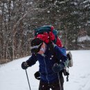 청태산휴양림 이미지