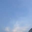 향촌2길3 | 내 8월 초/중순 일상 구경 할 사람? 🙋🏻‍♀️