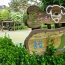 살나리어린이공원 이미지