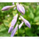 리운산장 이미지