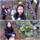 상은농장 이미지