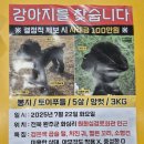 소소한 행복 초록일기 이미지