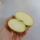 리더스팜