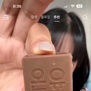 포포독 (Focus for dog) 이미지