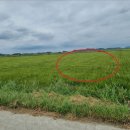 교로1리 마을회관 이미지