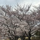 갯골안4 이미지